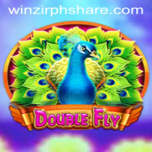 DoubleFly: Understanding the Game and its Connection with WinZir PH